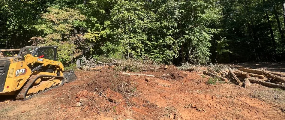 Cleared land in Matthews, NC, with a skid steer and dense trees.