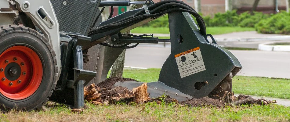 Stump being ground down with a machine in Matthews, NC.