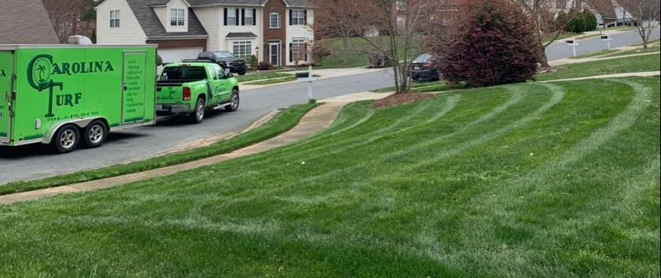 Mowed lawn after a yard cleanup on a property in Matthews, NC.