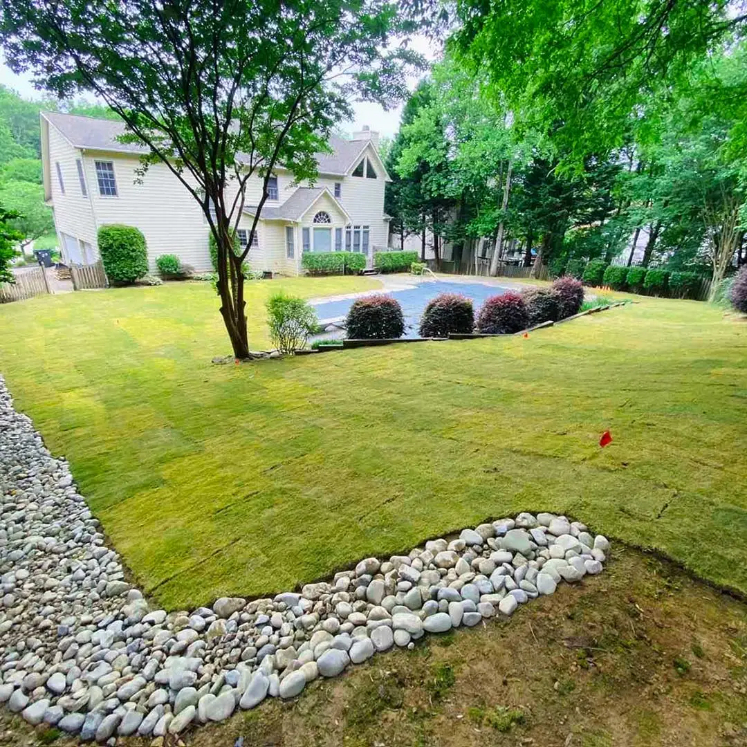 A gorgeous new sod lawn with fresh landscaping near Matthews, NC.