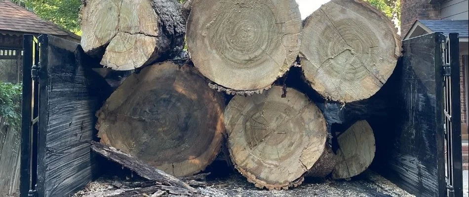Parts of a tree on a truck in Matthews, NC.