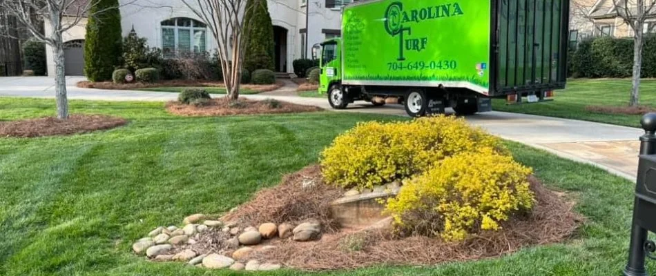 Weed-free landscape bed with work truck in driveway on a property in Matthews, NC.