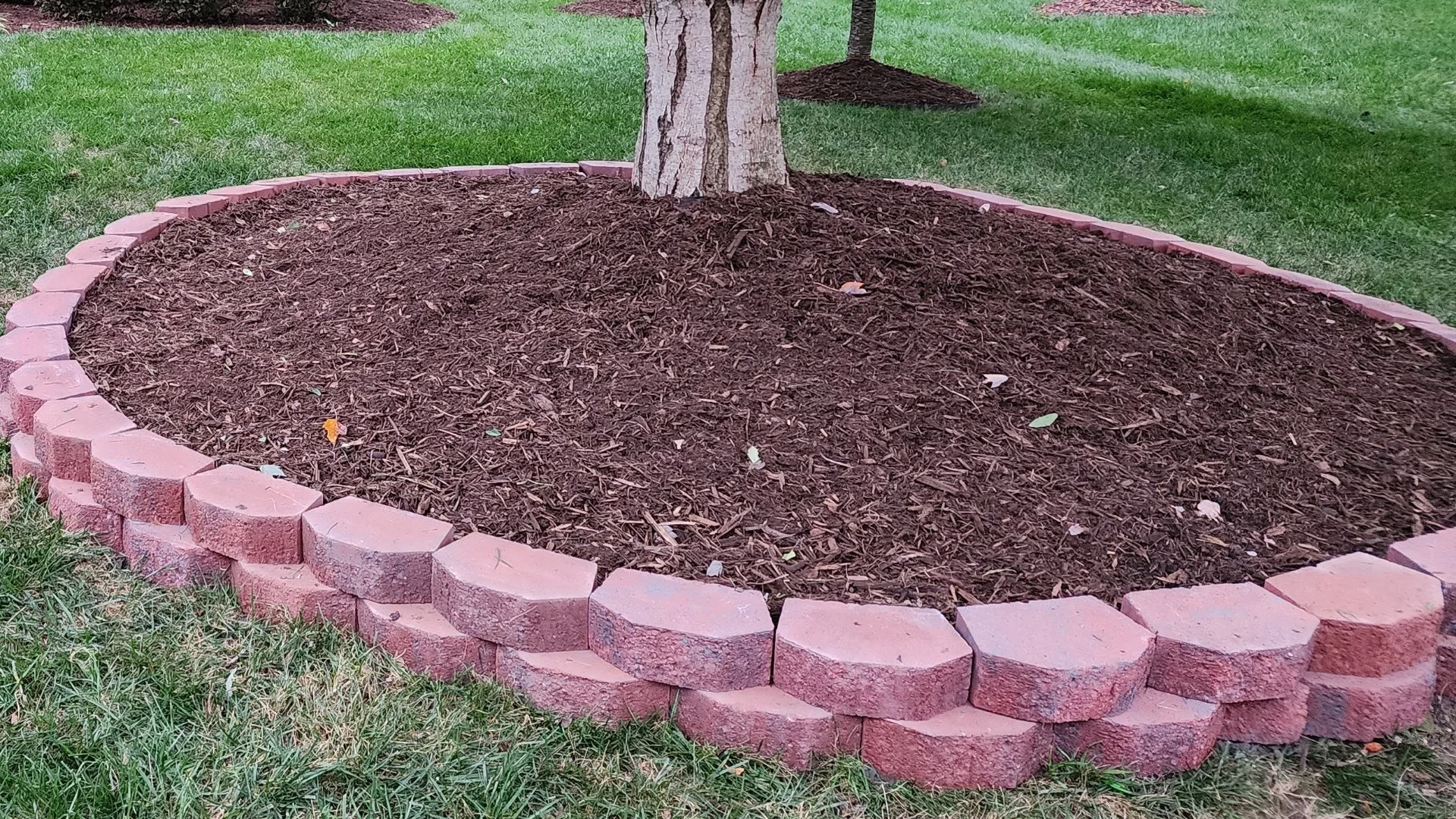 You Should Replenish Your Mulch Twice a Year in North Carolina!