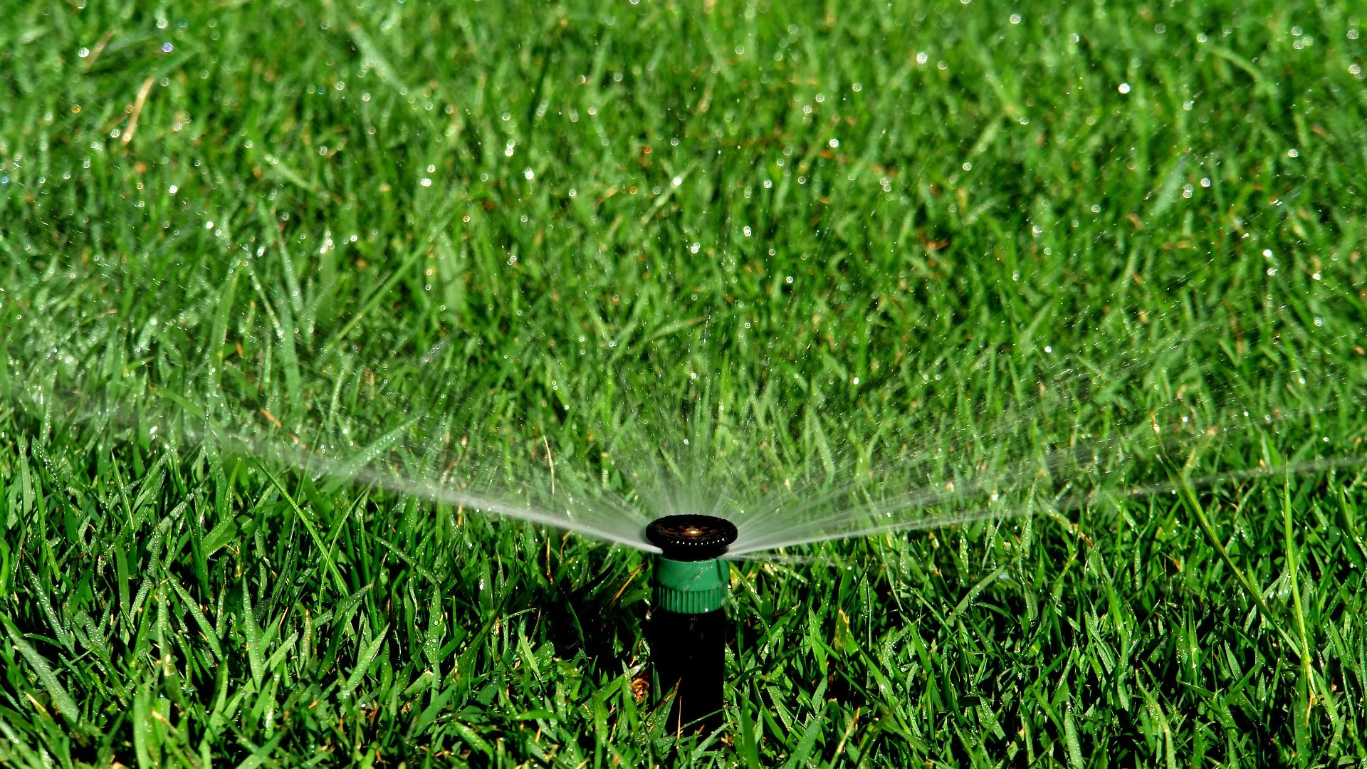 Sprinkler vs Drip Irrigation: Which Should You Choose for Your Property?
