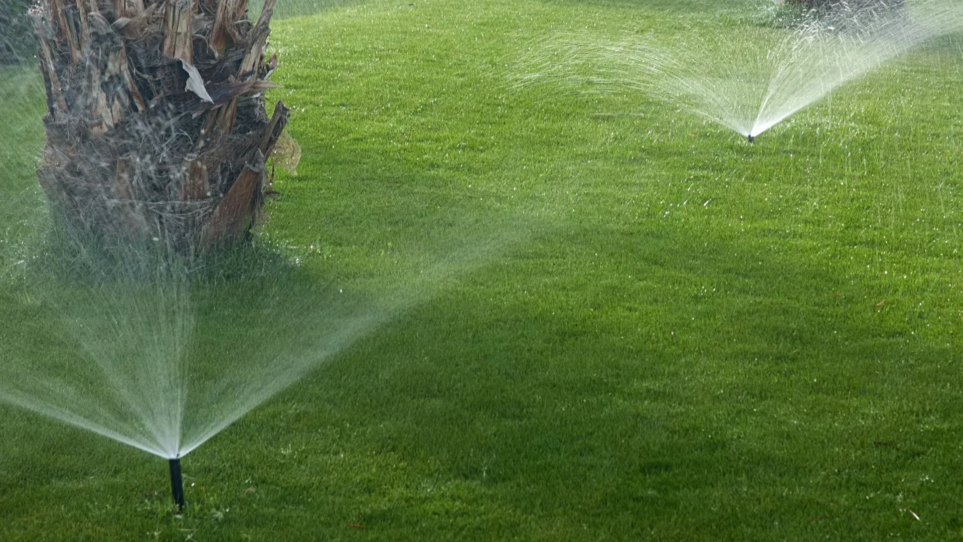 Does Your Irrigation System Need to Be Repaired? Here's How to Tell