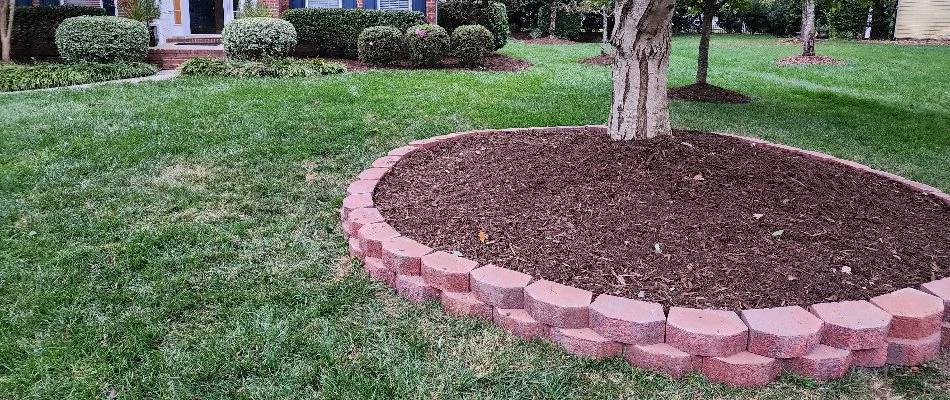 A landscape bed with mulch ground covering on a property in Matthews, NC.