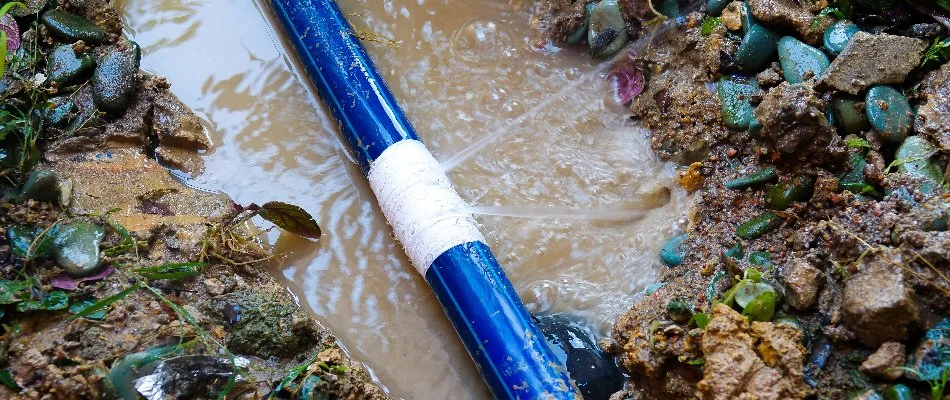 Puddle around a pipe leak in an irrigation system in Matthews, NC.