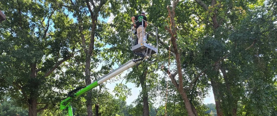 Crew on a bucket truck for a tree service in Albemarle, NC.