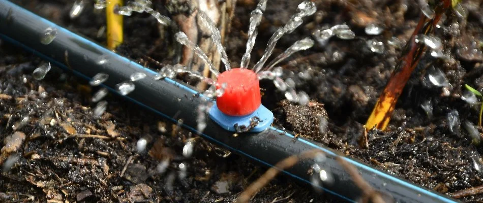 Drip irrigation emitter on the ground in Albemarle, NC.