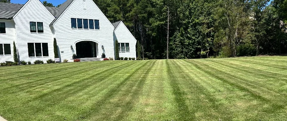 Green grass in New Salem, NC, with mowing pattern near a house.