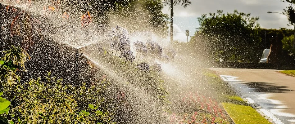 Irrigation system in Millingport, NC, watering landscape plants.