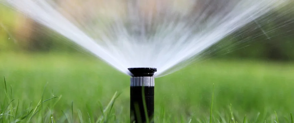 Lawn in New Salem, NC, with a sprinkler head releasing water.