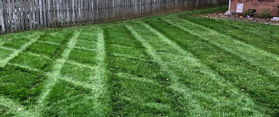 Lush green grass in Concord, NC, with mowing pattern.