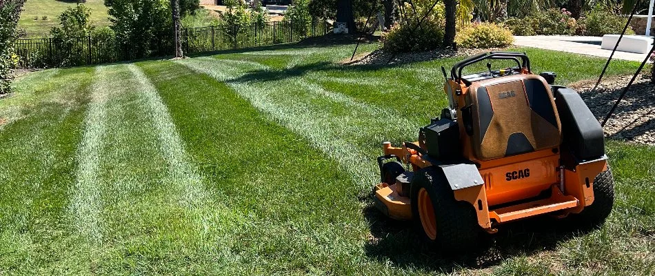 Mower on a sloped lawn in Oakboro, NC.