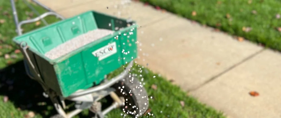 Granular fertilizer being spread on a residential lawn in Marvin, NC.