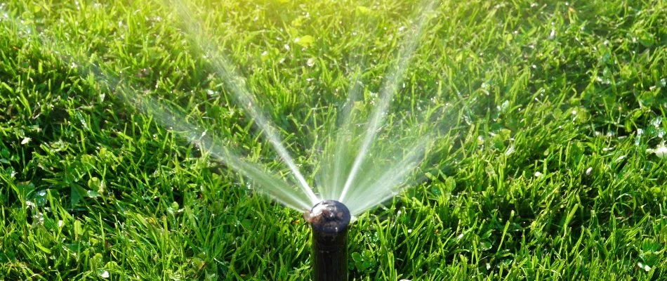 Sprinkler head on grass in Concord, NC, releasing water.