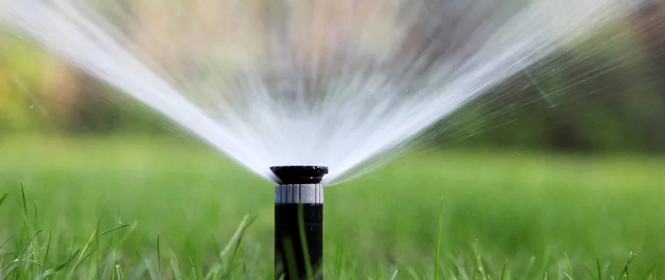 Sprinkler head shooting water onto a lawn in Matthews, NC.