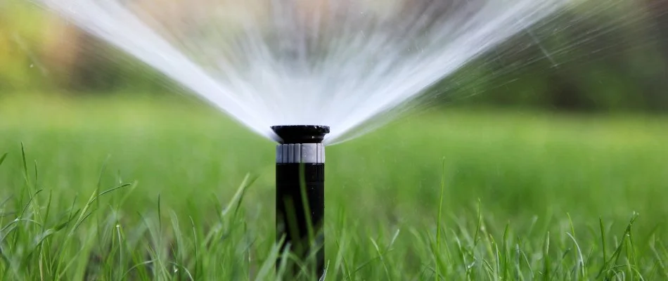 Sprinkler head watering a lawn in Stanfield, NC.