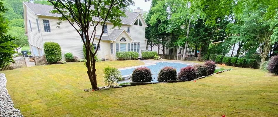 Yard in Millingport, NC, with shrubs and newly installed sod.